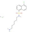 N-（6-氨基己基）-5-氯-1-萘磺胺鹽酸鹽