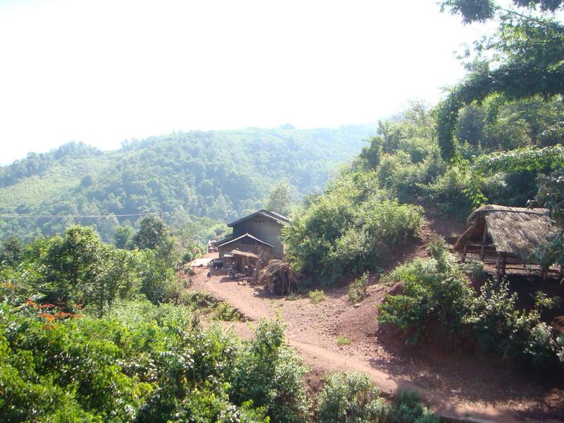 上新山自然村