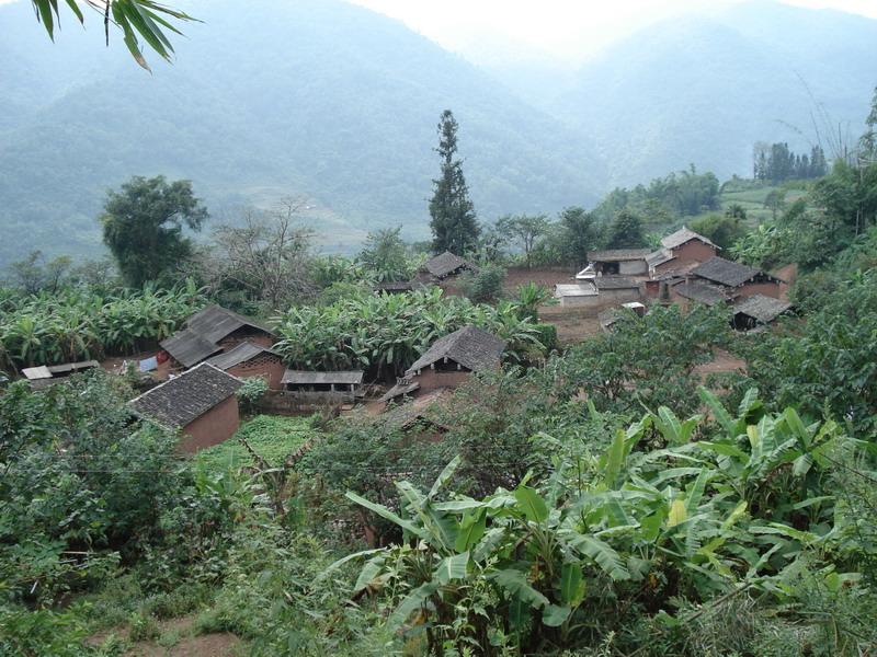 上端金村