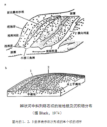 辮狀河沉積