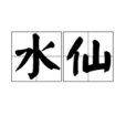 水仙(網路用語)