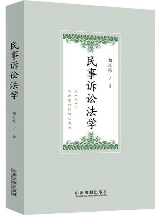 民事訴訟法學(2020年中國法制出版社出版的圖書)