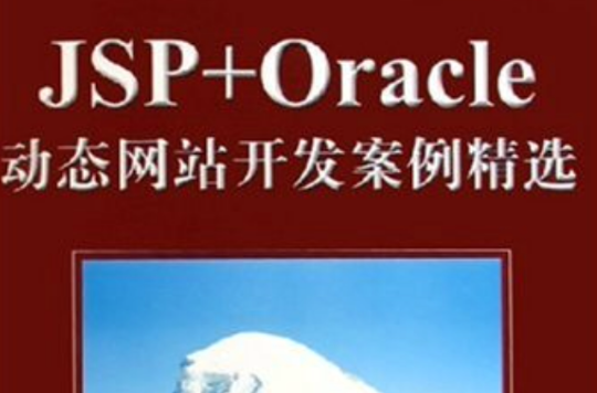 JSP Oracle動態網站開發實例精選