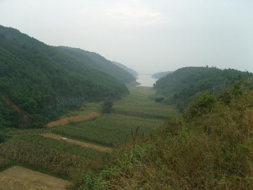 清水河村(雲南省大理市雲龍縣檢槽鄉清水河村)