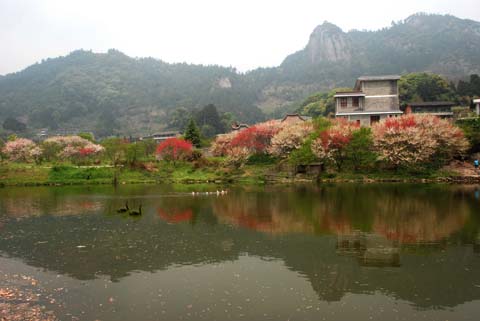 南井村(福建省閩侯縣南嶼鎮南井村)