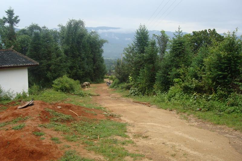 進村道路