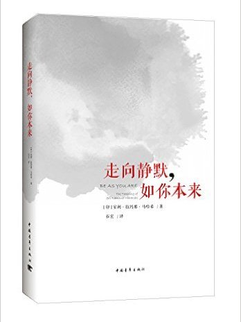 走向靜默，如你本來(2017年中國青年出版社出版的圖書)