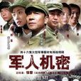 軍人機密(2005年張黎執導的電視劇)