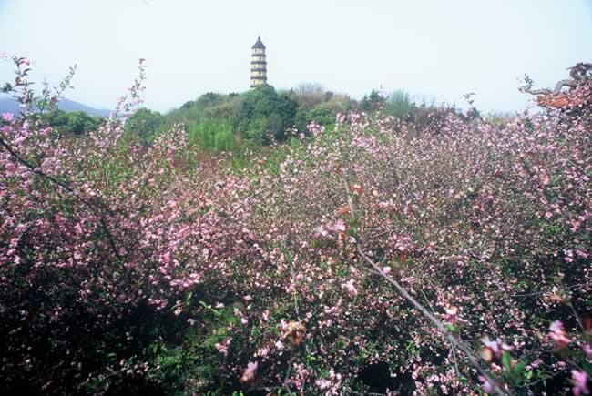 寶塔山公園