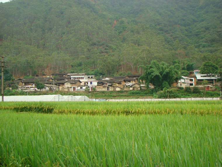 甸頭村(峨山縣化念鎮黨寬村民委員會下轄村)