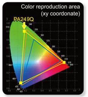 華碩專業顯示器PA249Q