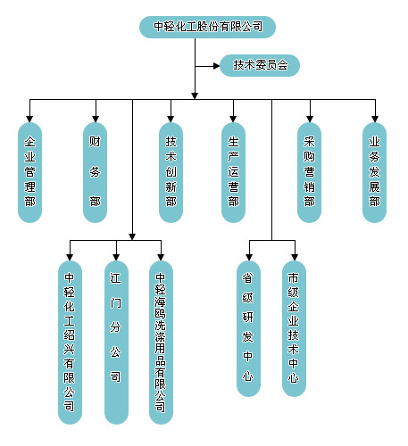 中輕化工股份有限公司