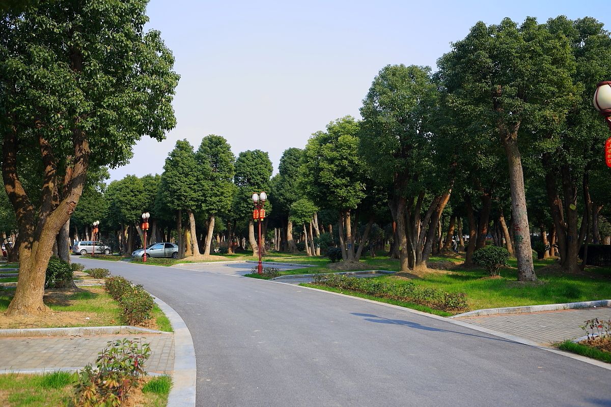 東山香樟園