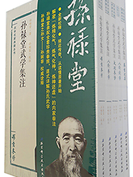 孫祿堂武學集注（套裝共5冊）