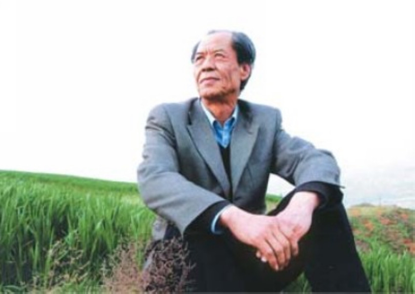 到老白楊樹背後去