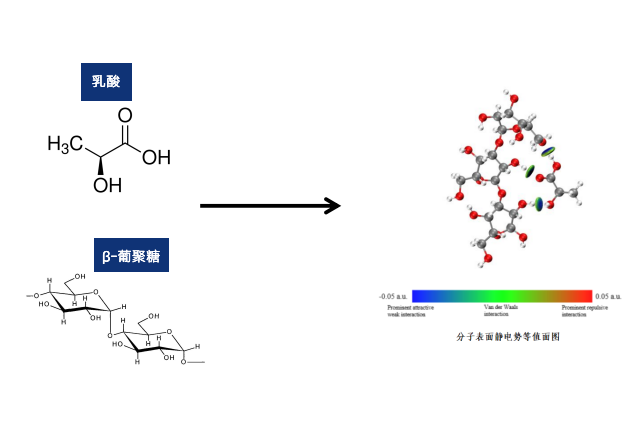 超分子乳酸