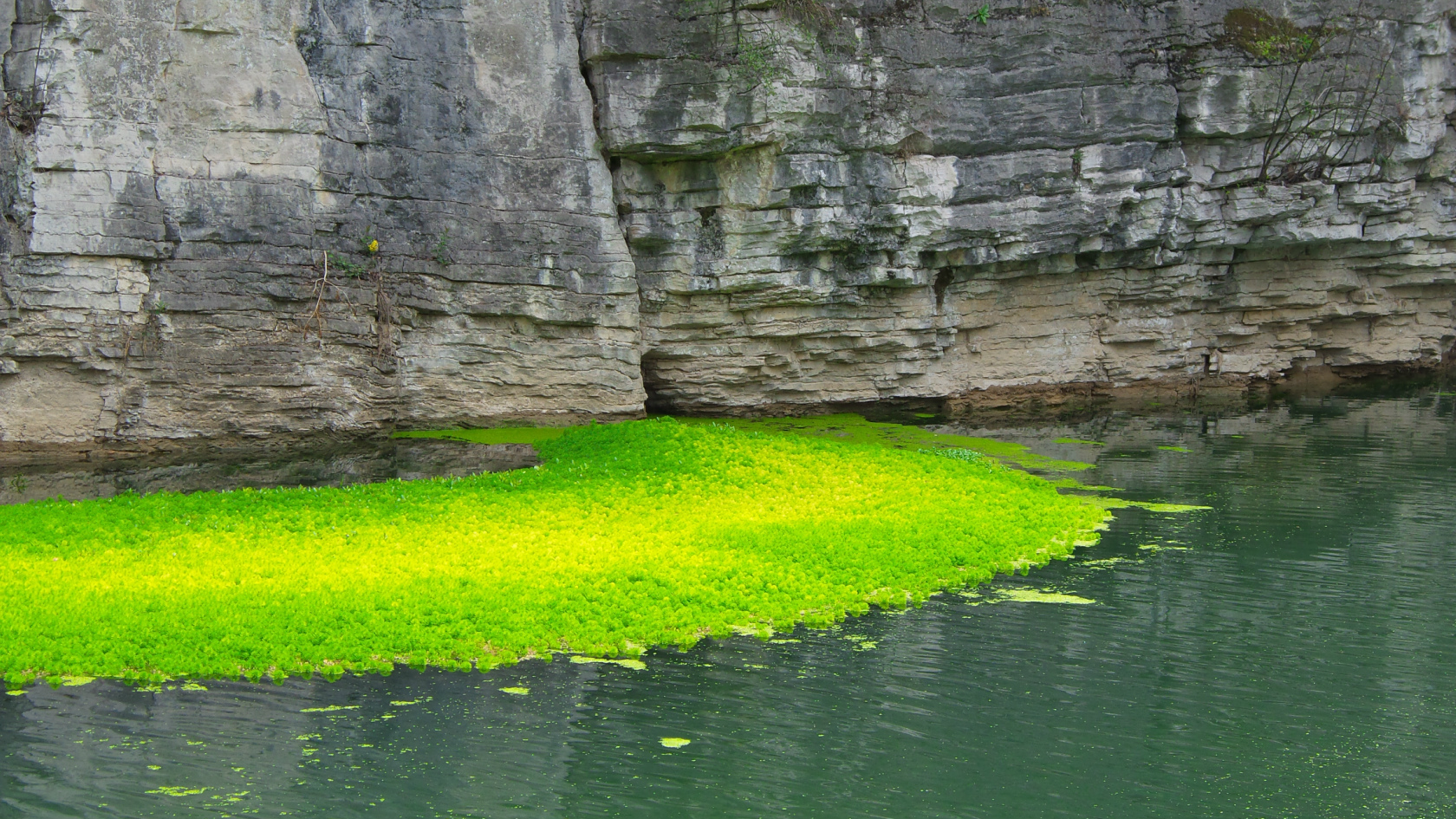 魚梁河