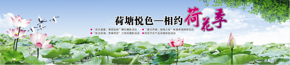 “荷塘悅色—相約荷花季” 2015宜春南廟荷花節