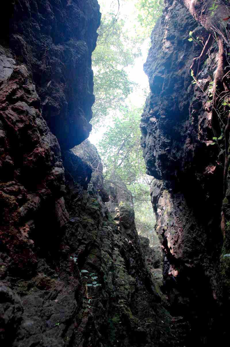 湖北鹿門寺國家森林公園