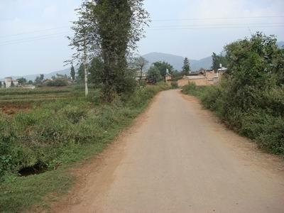 進村道路