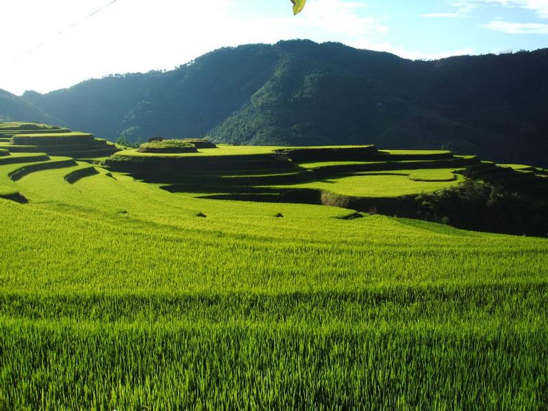 村中田園