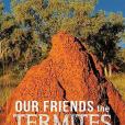 Our Friends the Termites