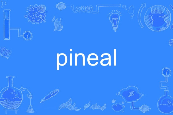 pineal