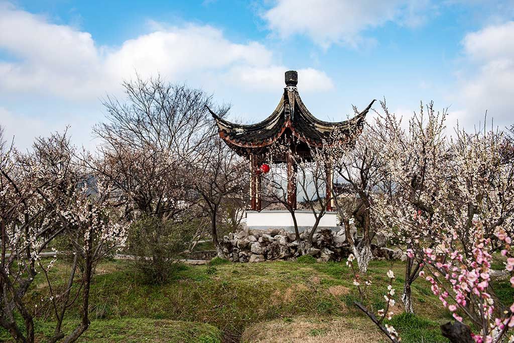 蘇州梅園