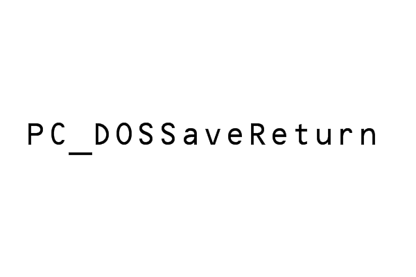 PC_DOSSaveReturn