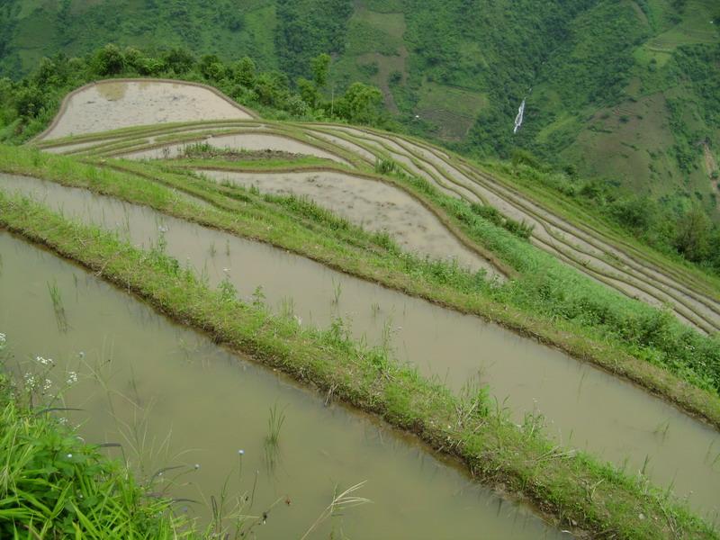 村中田園