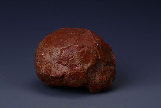 白堊紀恐龍蛋化石(茂名市博物館藏品之三十八)