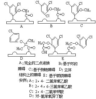 兩點連線學說