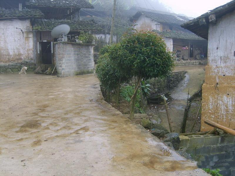 新寨自然村(新寨自然村：雲南省文山市新街鄉)