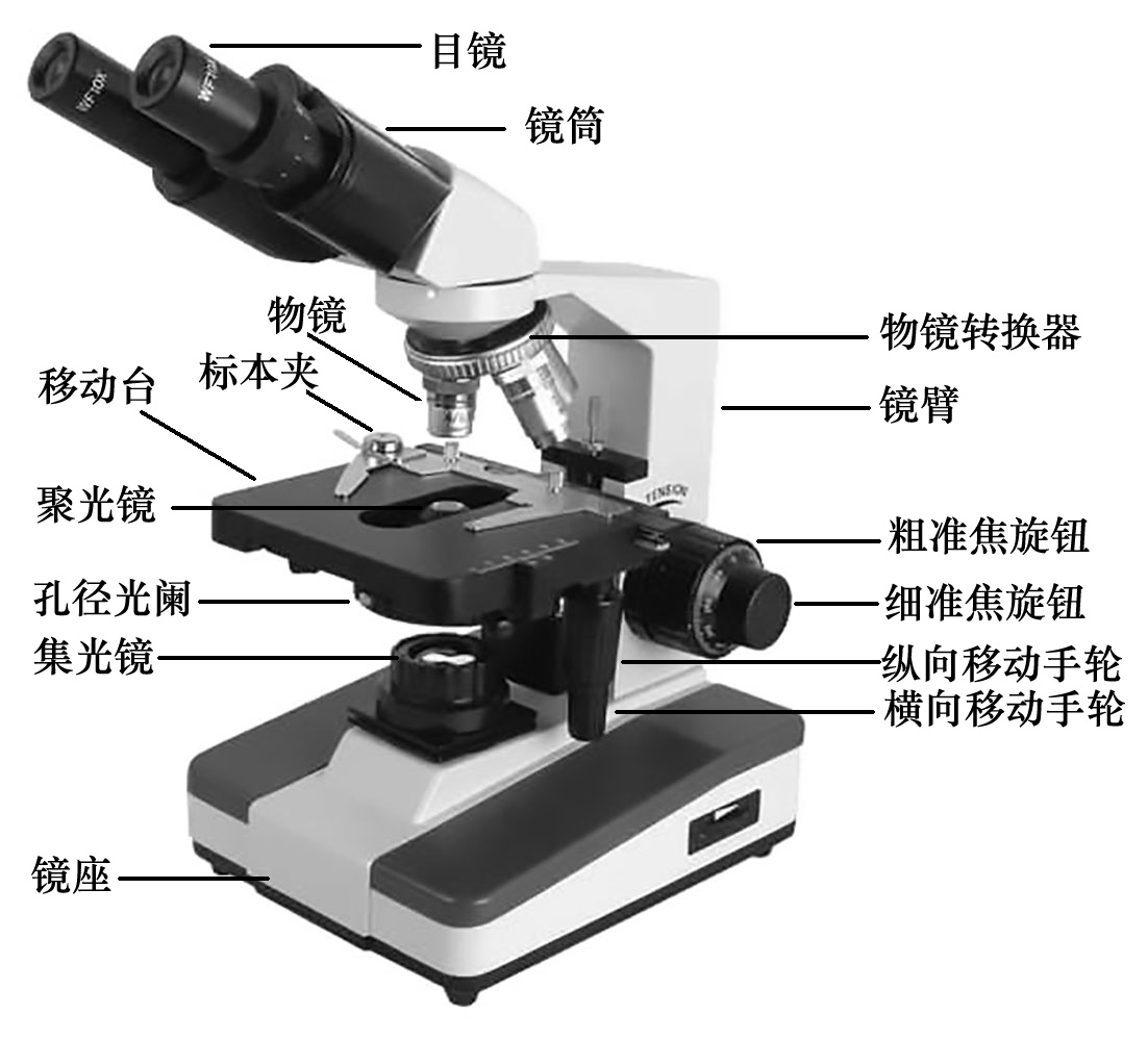 生物顯微鏡