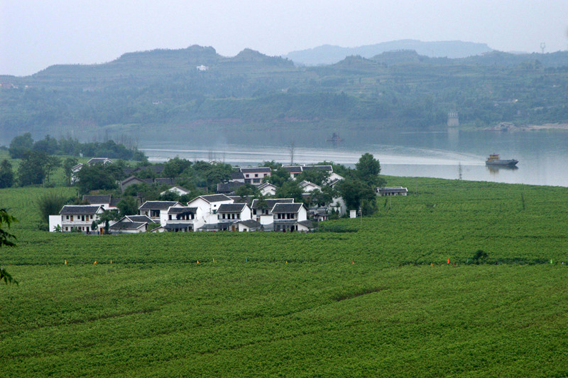 青松鄉(四川省南充市高坪區)