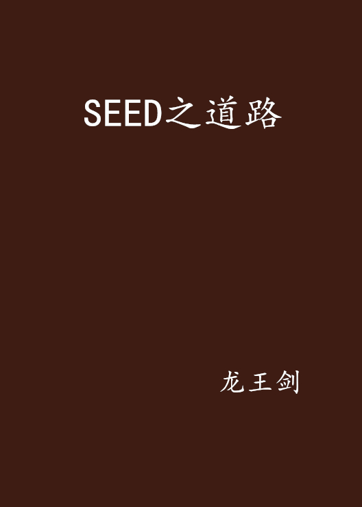 SEED之道路