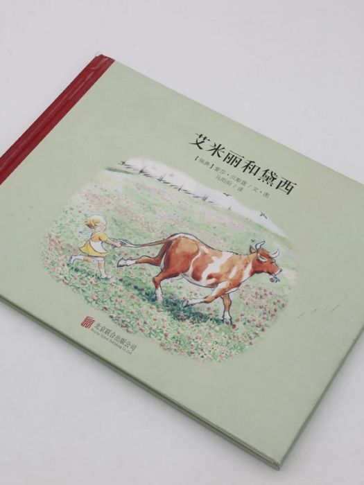 艾米麗和黛西(2015年北京聯合出版公司出版的圖書)