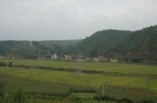 石灰窯村(雲南省尋甸縣塘子鎮石灰窯村)