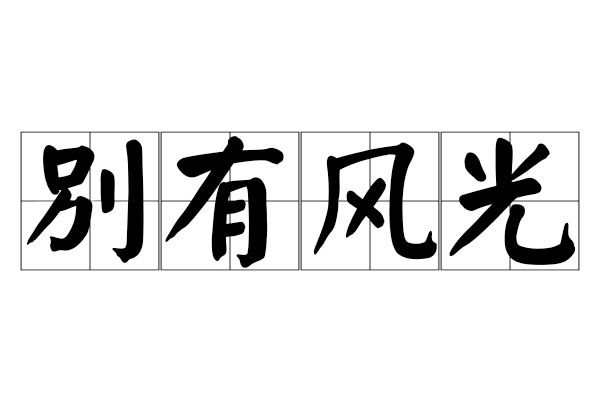 別有風光(漢語成語)