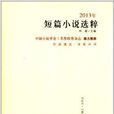 2013年短篇小說選粹