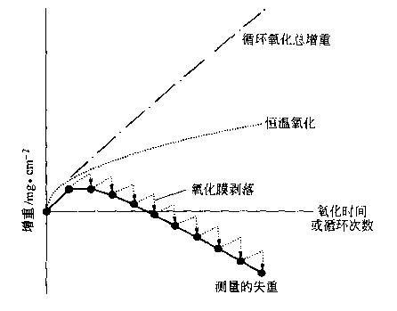 循環氧化動力學