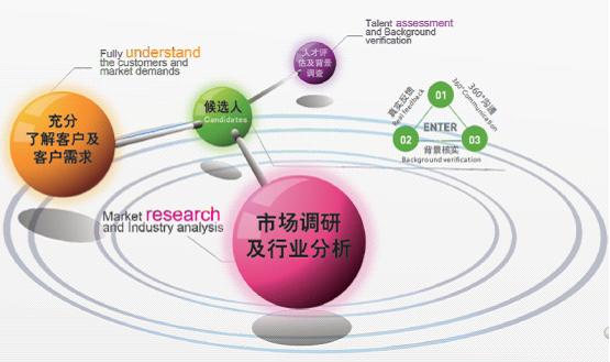 科瑞斯人才搜尋三維定位模型