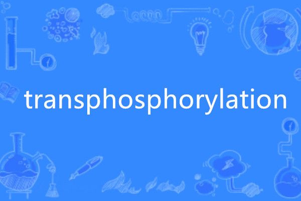 transphosphorylation