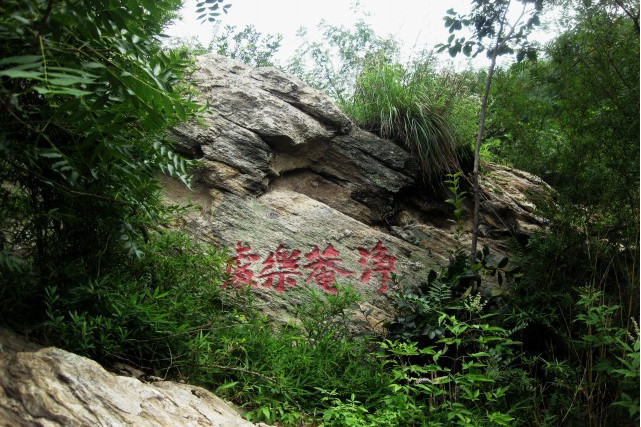 “淨庵樂處”題刻