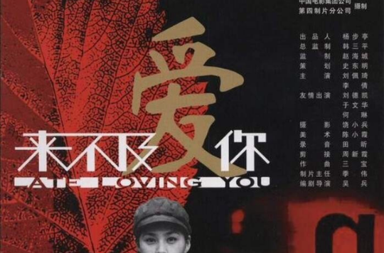 來不及愛你(2003年劉佩琦主演電影)