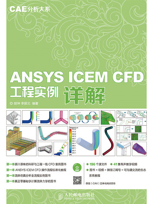CAE分析大系——ANSYS ICEM CFD工程實例詳解