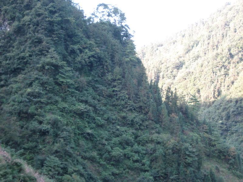 油房自然村(雲南昭通彝良縣龍海鄉鎮河村村委油房自然村)