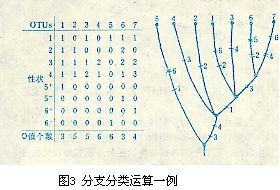 分支分類運算一例