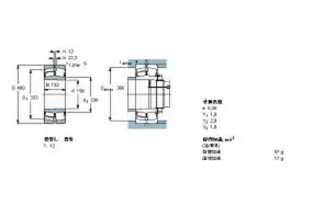 SKF 22338CCKJA-W33VA405軸承