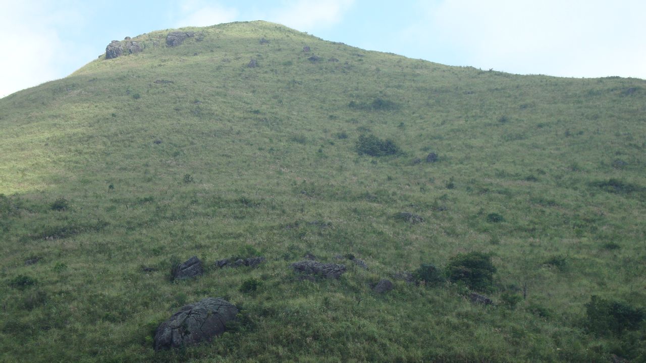 五閬山頂峰